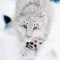 Picture of the friend